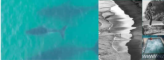 WHY BYRON NEVER DISAPPOINTS